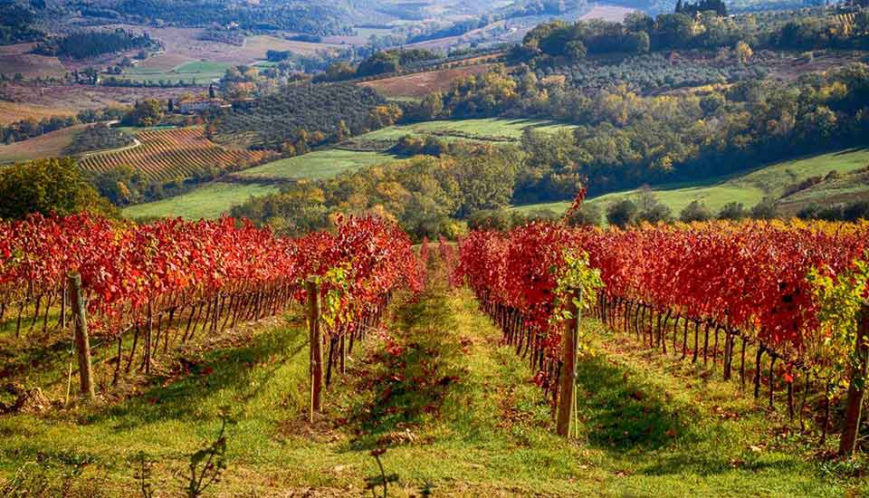Tuscany trip